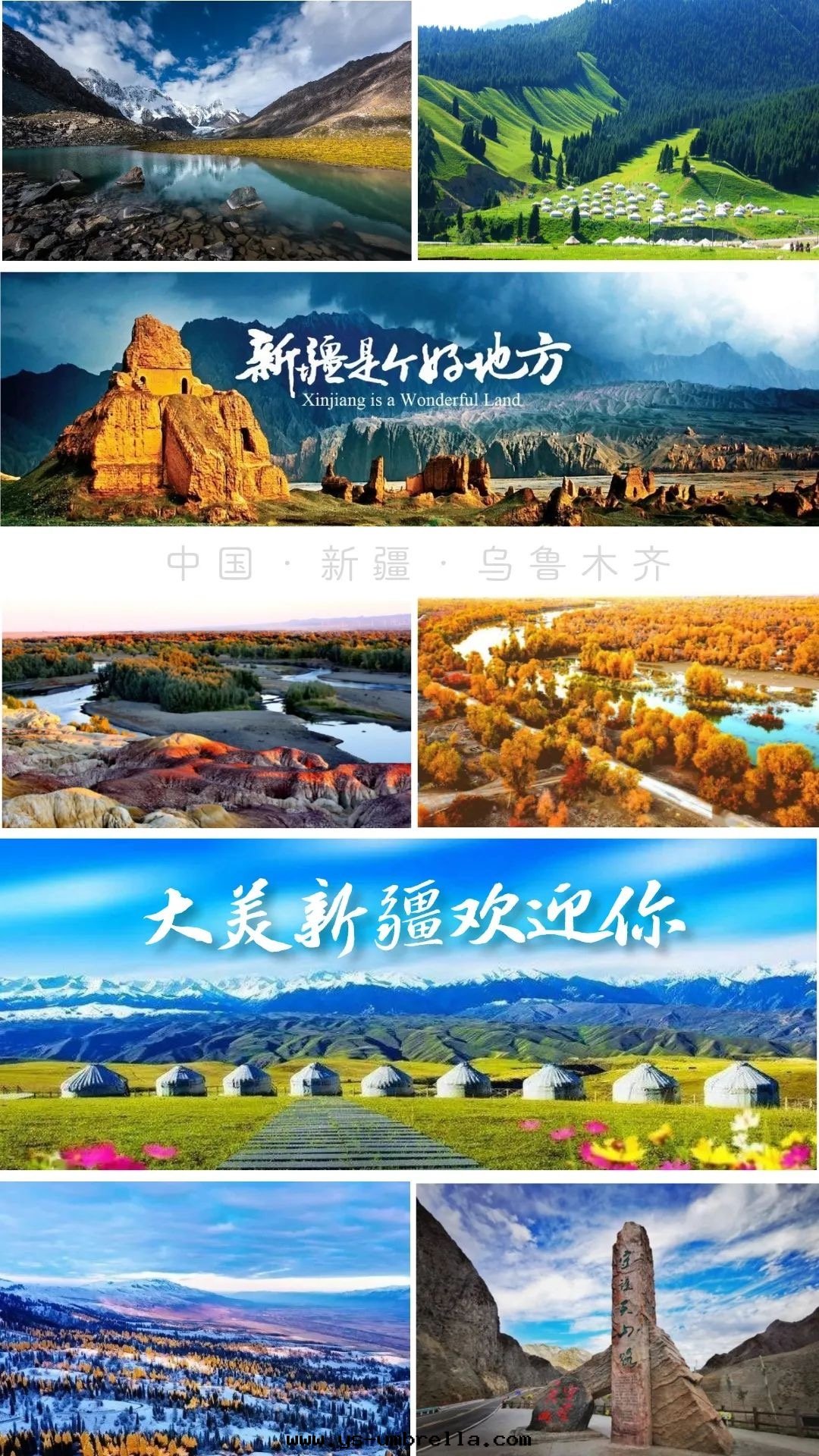 WechatIMG6172.jpeg WechatIMG6172.jpeg